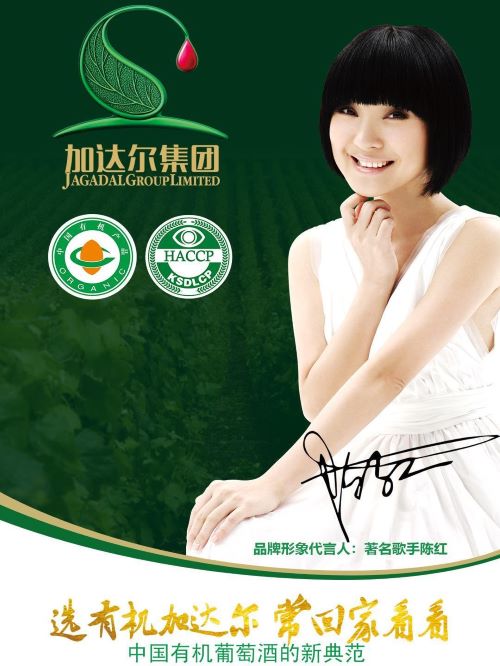 加達爾集團形象代言人