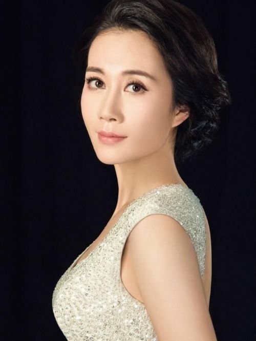 溫崢嶸，1978年11月2日出生于貴州貴陽(yáng)，中國(guó)內(nèi)地女演員，2001年畢業(yè)于北京電影學(xué)院表演系。
2001年，參演反映農(nóng)村生活題材的電視劇《黃沙下面是沃土》。2002年，與陸毅、袁立、孫紅雷主演汪俊執(zhí)導(dǎo)的電視劇《浮華背后》，飾演女二號(hào)女警蘇暢。2005年，與韓雪、賈一平合作主演電視劇《錯(cuò)愛(ài)一生》。2010年，在電視劇《洪湖赤衛(wèi)隊(duì)》中飾演韓英。2013年11月，參演民國(guó)劇《如錦》。2015年，主演大型紅色戰(zhàn)爭(zhēng)劇《十個(gè)連長(zhǎng)一個(gè)班》。2016年，主演抗戰(zhàn)輕喜劇《迷霧1945》；同年，主演諜戰(zhàn)劇《半步之遙》。2017年，主演抗戰(zhàn)傳奇劇《懸紅》。2020年，參演古裝劇《玉樓春》 ；同年，參加騰訊視頻導(dǎo)演選角真人秀《演員請(qǐng)就位第二季》；同年，主演的荒誕幽默懸疑電影《一日成交》上映。