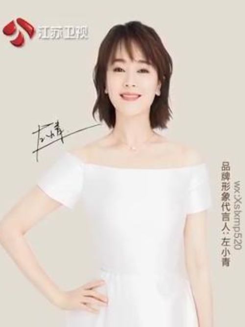 仙詩(shī)麗代言
