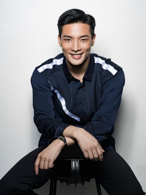 辰夫，中國男演員，畢業(yè)于中央戲劇學(xué)院。作品《幸福的理由》《新六指琴魔》 《新神雕俠侶》《覺醒年代》等。