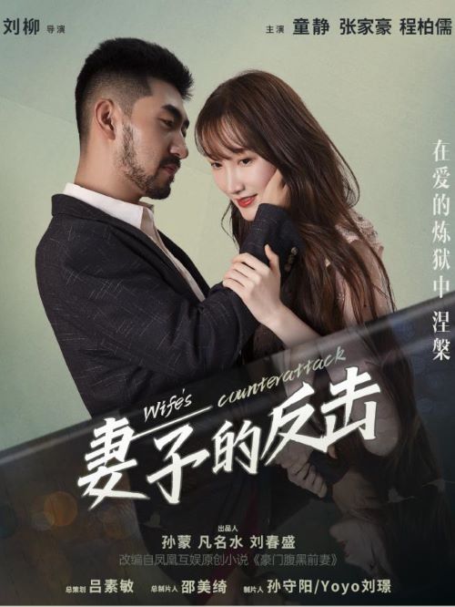 《妻子的反擊》