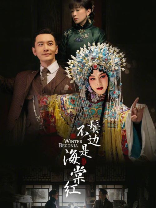 《鬢邊不是海棠紅》