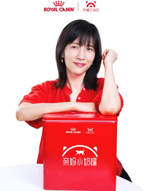 天貓正當(dāng)紅商務(wù)活動(dòng)