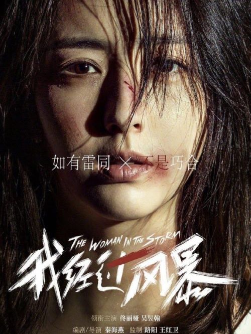 《我經(jīng)過風暴》