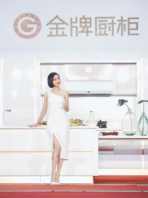 金牌櫥柜代言