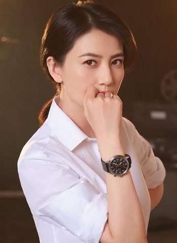高圓圓代言