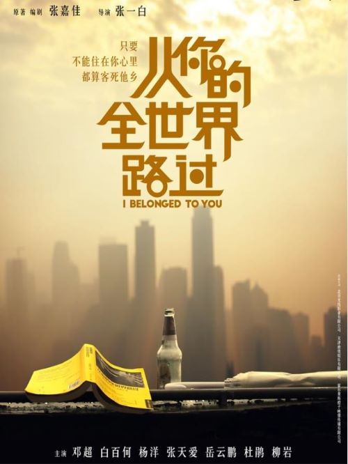 《從你的全世界路過(guò)》