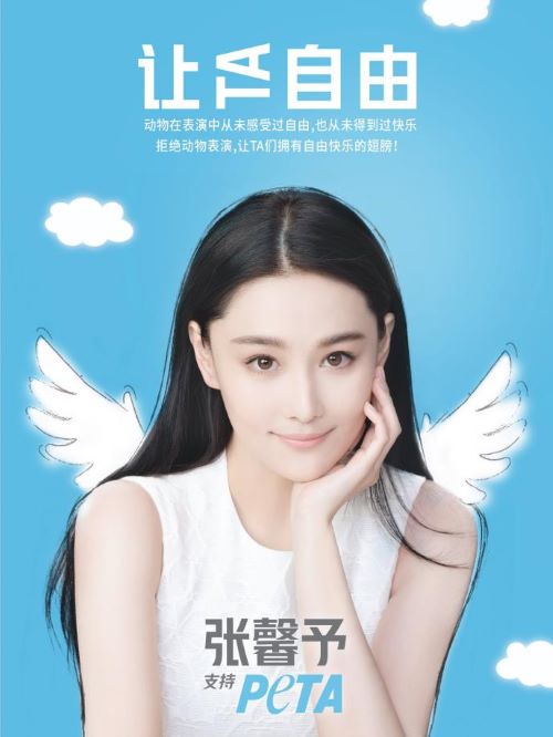 善待動物組織（PETA）公益
