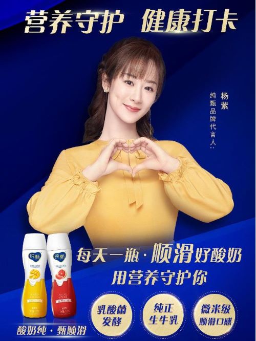 蒙牛純甄乳酸菌代言