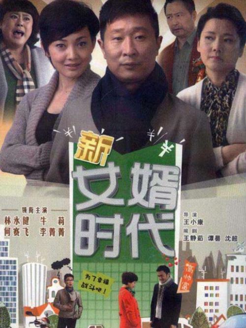 《新女婿時(shí)代》
