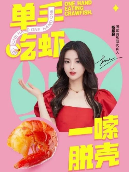 周黑鴨代言