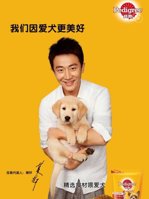 寶路狗糧代言