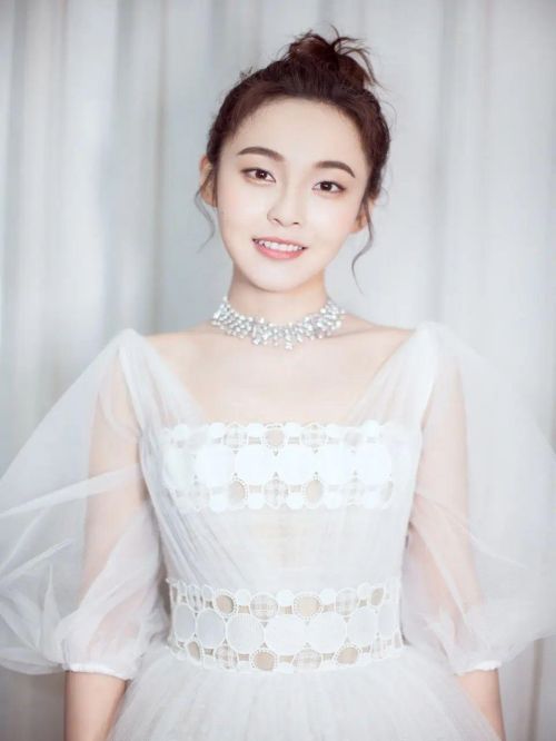 張佳寧，1989年5月26日出生于吉林省遼源市，中國內(nèi)地影視女演員，畢業(yè)于中央戲劇學(xué)院2005級表演系本科。
2009年，出演個人首部電視劇《小姨多鶴》，從而正式進(jìn)入娛樂圈。2010年，出演都市生活劇《媳婦的美好時代》。2011年，主演都市勵志劇《蟻?zhàn)宓膴^斗》。2012年，主演情感勵志劇《溫州一家人》。2013年，主演勵志劇《老爸的愛情》。2014年，主演醫(yī)療劇《青年醫(yī)生》。2015年，主演古裝玄幻劇《九州·海上牧云記》。2016年，出演古裝宮廷劇《如懿傳》。2017年，主演都市商戰(zhàn)劇《雞毛飛上天》；同年，主演穿越武俠輕喜劇《唐磚》 。2018年，主演都市司法劇《決勝法庭》 ；同年，主演古代家庭劇《知否知否應(yīng)是綠肥紅瘦》。2020年8月，主演都市微創(chuàng)治愈劇《他其實(shí)沒有那么愛你》。2021年6月，主演都市女性勵志劇《歡樂頌3》。2022年1月26日，主演奇幻懸疑愛情劇《一閃一閃亮星星》。