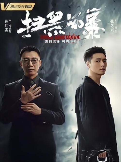 《掃黑風暴》