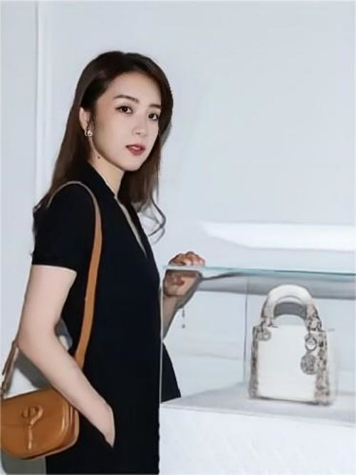 DIOR ROSE活動(dòng)