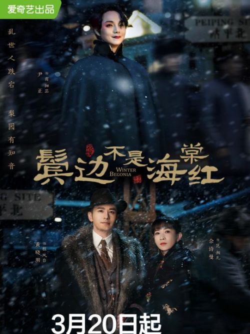 《鬢邊不是海棠紅》