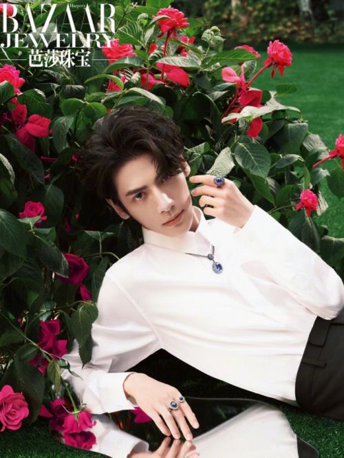 《芭莎珠寶》雜志