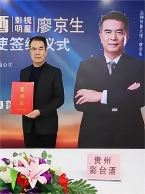 彩臺(tái)酒代言