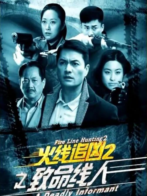 《火線追兇2》系列