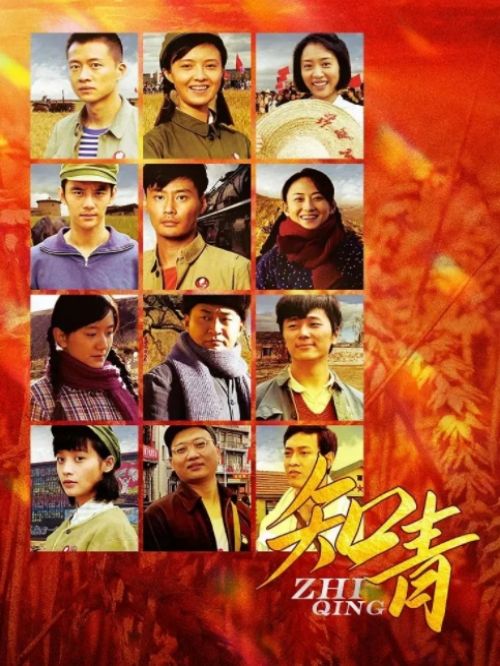 《知青》