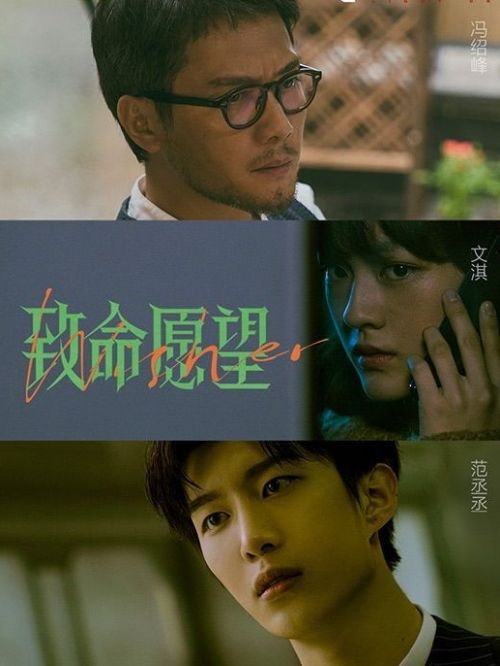 《致命愿望》